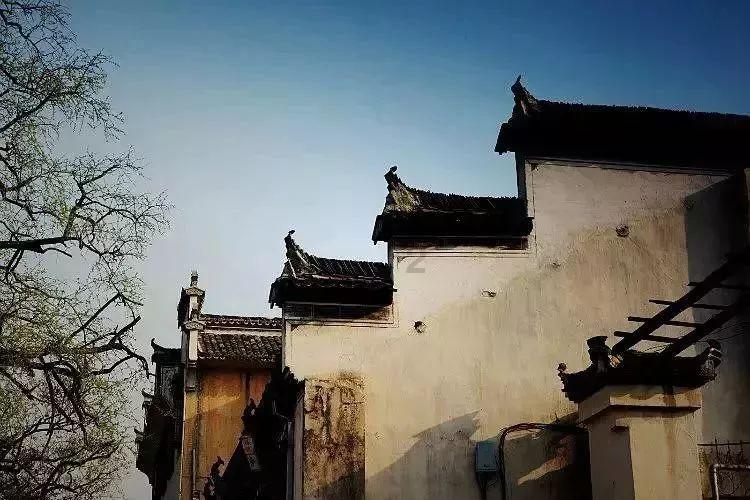 猪拉稀用什么药好 猪拉稀用什么药？游戏画面